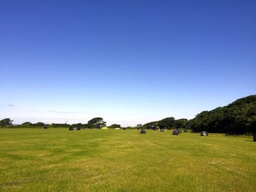 Happy campers amongst the bales