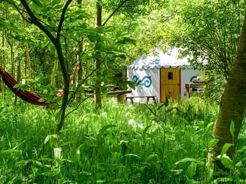 Glamping in the woods