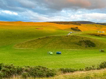 Visitor image of the spacious site