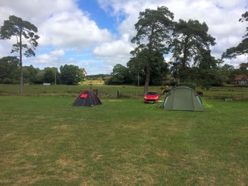 Grass pitches