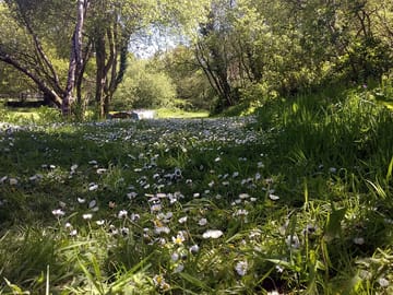 Stunning scenery everywhere