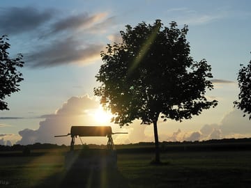 Evening view