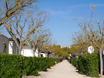 Main street