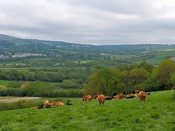Lovely views