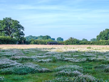 Knepp Wildland Safaris and Camping