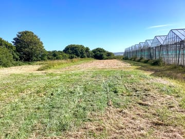 Campsite adjacent to the greenhouses