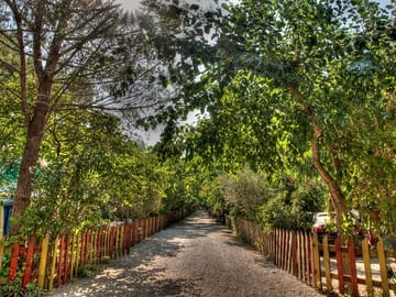 Towards the camping pitches