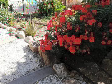 Garden surrounds