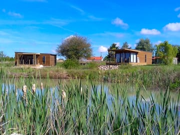 View through the reeds