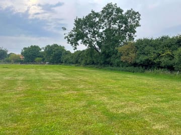 Grassy pitches