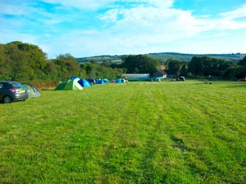 In the main field