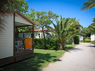 Around the site