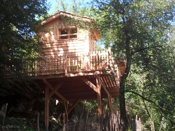 Hut in the trees