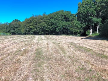 Camping field