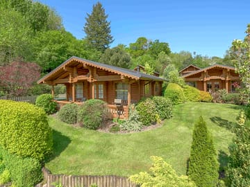 Wooden cabins surrounded by greenery
