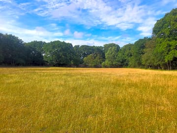 Level grass pitches