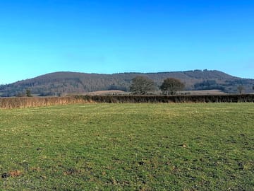 The camping field