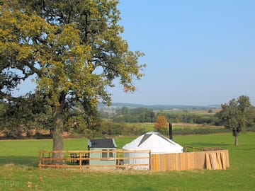 The yurt sits under a lovely oak tree