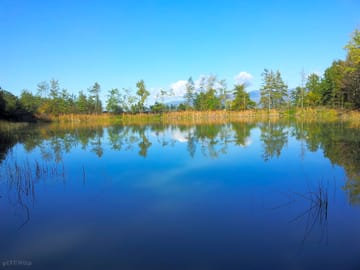 Swim in the private pond