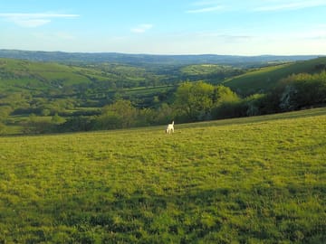 Stunning views