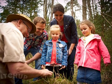 Forest Holidays