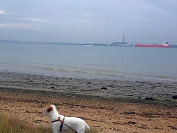 Southampton water