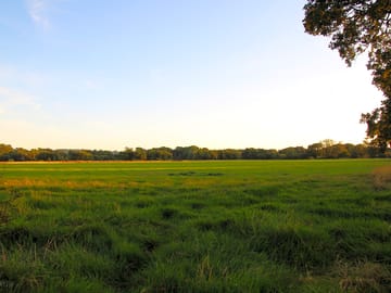 One of the biggest fields