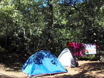 Pitches under the trees