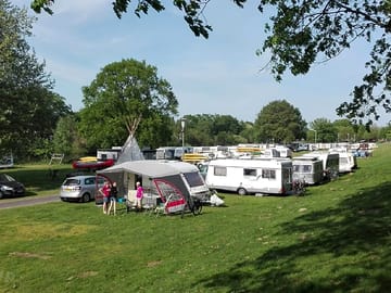 Green pitches on site