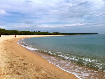 The beach