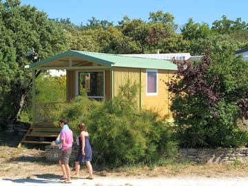 Lodge surrounded by trees and plants