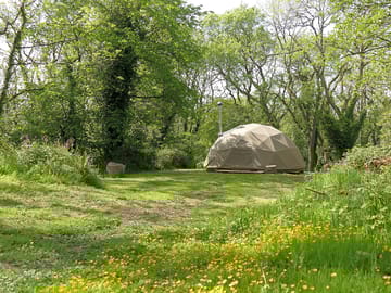 Geodesic dome on a leafy pitch