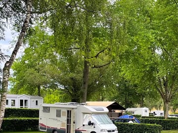 Pitches under trees