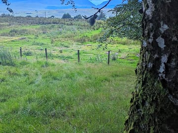 Around the grounds