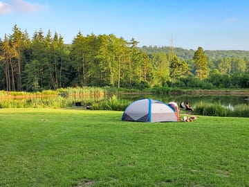 Peaceful field by the lake