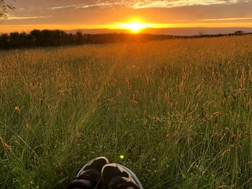Sunset over the meadow