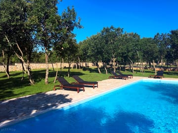 The pool