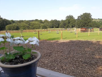 View of the smallholding