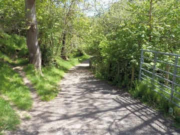 One of the paths leading down to the site