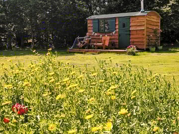 Countrified surrounds