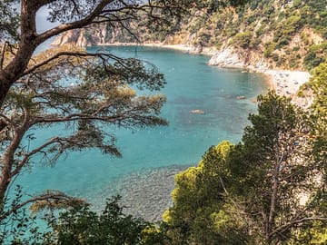 Beautiful views of the coast