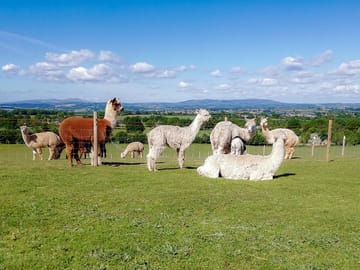 View of the Severn Valley