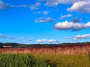 Country setting