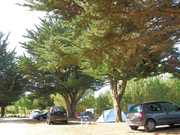 Pitches area