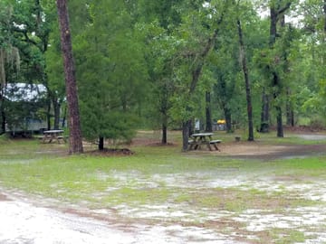 Lots of shade and room to enjoy the outdoors