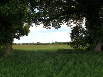 View through the tree arch entrance into the campsite