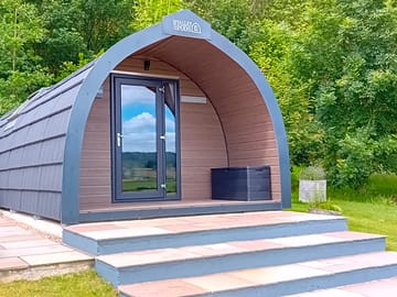 Cocksfoot pod