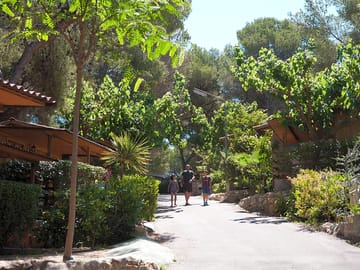 Around the campsite