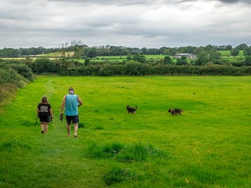 Dog walking field
