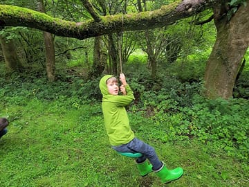 Woodlands to explore